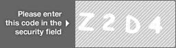 captcha code for visual authentication  letter Z number 2 letter D number 4